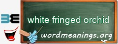 WordMeaning blackboard for white fringed orchid